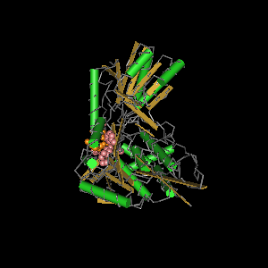 Conserved site includes 9 residues -Click on image for an interactive view with Cn3D