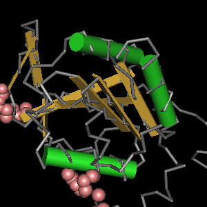 Conserved site includes 5 residues -Click on image for an interactive view with Cn3D