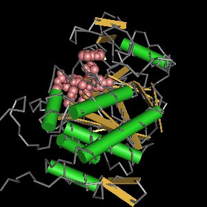 Conserved site includes 11 residues -Click on image for an interactive view with Cn3D