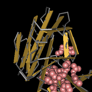 Conserved site includes 10 residues -Click on image for an interactive view with Cn3D