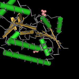 Conserved site includes 4 residues -Click on image for an interactive view with Cn3D