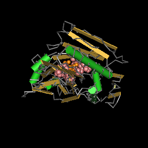 Conserved site includes 19 residues -Click on image for an interactive view with Cn3D