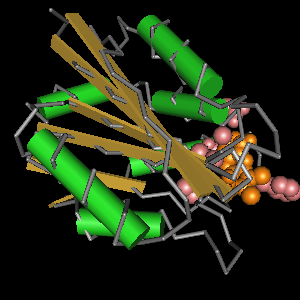Conserved site includes 8 residues -Click on image for an interactive view with Cn3D
