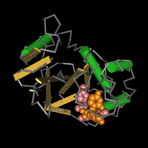 Conserved site includes 7 residues -Click on image for an interactive view with Cn3D