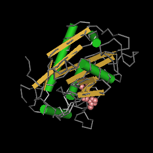 Conserved site includes 4 residues -Click on image for an interactive view with Cn3D