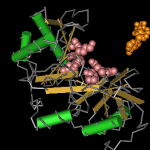 Conserved site includes 14 residues -Click on image for an interactive view with Cn3D