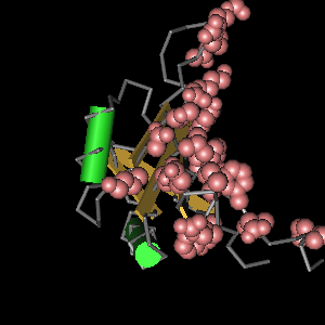 Conserved site includes 25 residues -Click on image for an interactive view with Cn3D