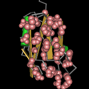 Conserved site includes 25 residues -Click on image for an interactive view with Cn3D