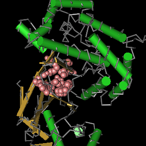 Conserved site includes 18 residues -Click on image for an interactive view with Cn3D