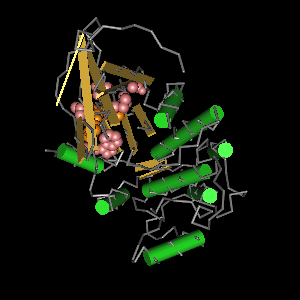 Conserved site includes 18 residues -Click on image for an interactive view with Cn3D