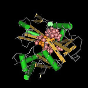 Conserved site includes 21 residues -Click on image for an interactive view with Cn3D