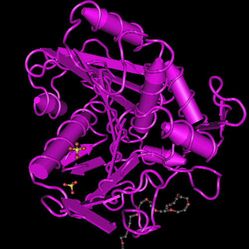 Molecular graphic for MMDB ID 125375 biounit 1