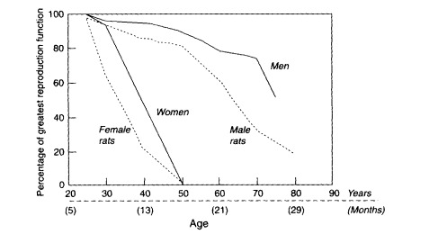 Figure 9-1. Comparison between humans and captive rats in sex-specific reproductive senescence.