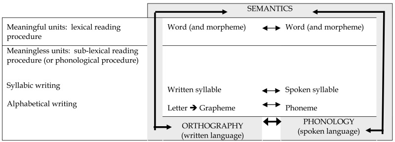 Operations involved in written word identification in syllabic writing and alphabetical writing.