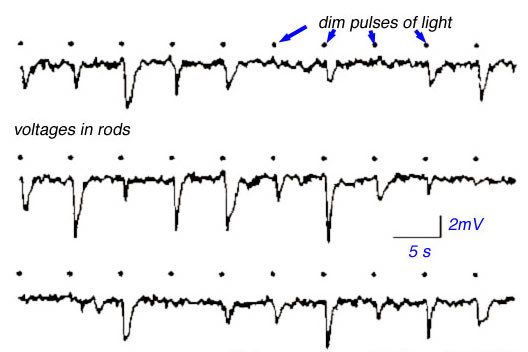 Figure 22