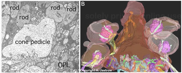 Figure 23