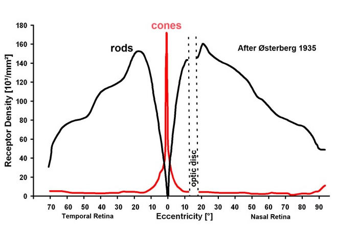 Figure 20