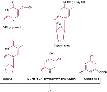 Structure and metabolic activation of capecitabine.