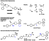 Figure 14. Recent analogs and selected future targets.