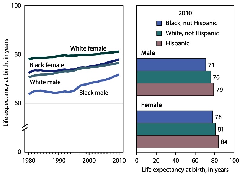Figure 1 consists of a line graph showing trends in life expectancy at birth, by race and sex, for 1980 through 2010, and a bar chart showing life expectancy at birth for 2010, by sex and race and Hispanic origin.