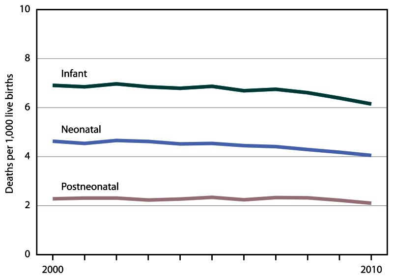Figure 2 is a line graph showing infant, neonatal, and postneonatal mortality rates for 2000 through 2010.