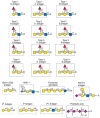 FIGURE 45.6. Additional examples of different glycan antigens recognized by specific monoclonal antibodies.