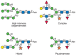 FIGURE 22.1. Types of N-glycans found in plants.