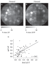 FIGURE 1.10. Correspondence between spH and presynaptic calcium signals imaged in vivo.