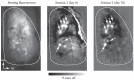 FIGURE 1.5. Long-term, chronic imaging with synaptopHluorin.