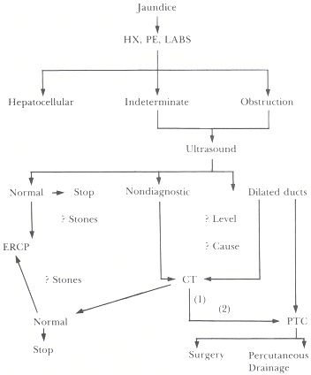 Figure 102.1. Algorithm for radiological work-up of jaundice.