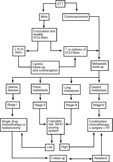 Algorithm for the management of gestational trophoblastic disease.