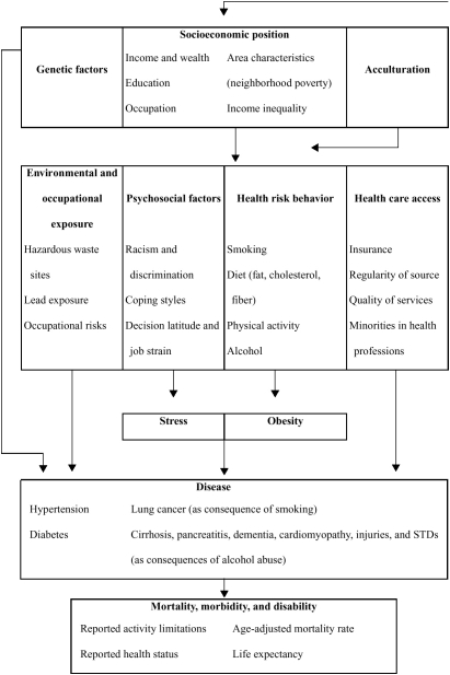 FIGURE 2-1. Factors in racial and ethnic differences in adult health.
