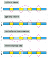 Figure 7-88. Four patterns of alternative RNA splicing.