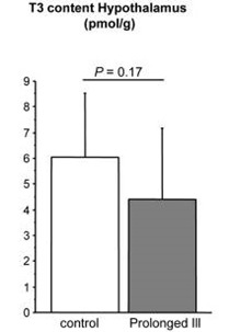 Figure 5 . T3 and T4 content in Hypothalamus of chronically ill animals with NTIS.(From Mebis et al(80).