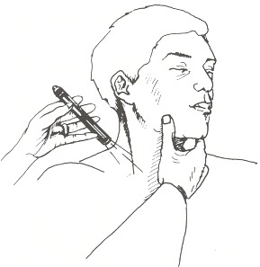 Figure 19.2. Drawing demonstrating the proper technique to evaluate the venous pulse.