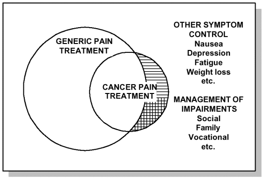 Figure 1. Relationship between "generic" and "cancer" pain treatment options.
