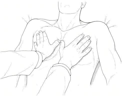 Figure 35.6. Palpation of the chest.