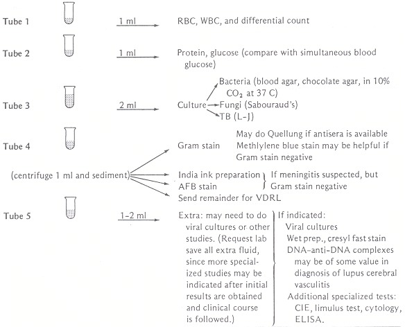 Figure 74.1. Studies indicated for evaluation of CSF.