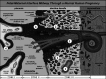 Fig. 45.1. Diagram of the histologic organization of the human maternal-fetal interface at midgestation.