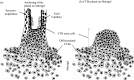 Fig. 45.2. Culture models for studying CMV infection of placental explants and cells.