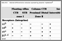 Table 45.1. Selected differentiation molecules expressed by placental trophoblasts.