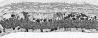 Figure 35. . GABA channel showing elaboration of microneuroma formation in an 10.