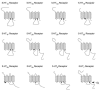 FIGURE 4.1. Schematic illustration of putative CaM-binding domains of various G protein-coupled 5-HT receptors.