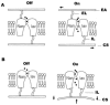 FIGURE 17.3. Hypothetical models depicting mechanosensitive channel gating mechanisms.