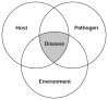 FIGURE SA-3. The epidemiological triad.