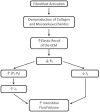 Figure 4.5. Myxedema is due to an accumulation of mucopolysaccharides secondary to overproduction of fibroblasts.