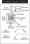 FIGURE 10. Isometric tension recording in an isolated blood vessel.