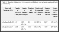 Table 1. Results of injection of the construct DNAs in pnd-w1 embryos (modified from ref. , with permission).