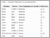 What Do Elevated CPK Levels in the Liver.