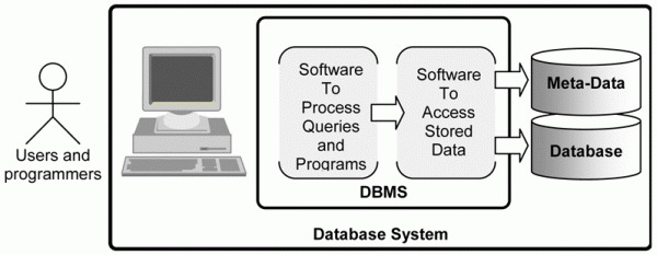 dbms. For a DBMS to be able to store